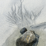 By Richard Bryant CPAGB BPE1