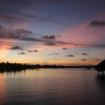 3rd By Steve Copeland