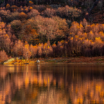 1st – Autumn Colours by Stephen Simcox