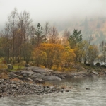 Mist-and-autumn-colours