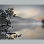 Highly Commended