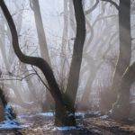 Second - Dancing in the Moonlight - Irene Stupples