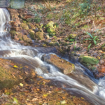 Third - Moddershall - Gordon Clayton