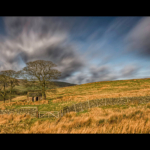 Highly Commended - Wildboarclough - Paul Way