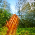 Intermediate PDI of the Year 2025 Com
Enlightenment By John Richards