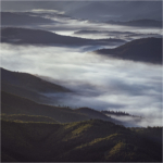 Advanced PDI of the Year Com- Morning by Irene Stupples