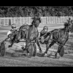 Last Lap by Paul Way Commended