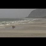 Walking the Dogs by Paul Way Commended