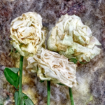 Wilting Roses by Gordon Clayton 3rd