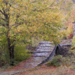 Advanced
1st The Packhorse Bridge Irene Stupples